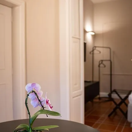 Casa Almika Principe Amedeo Guest house Bari