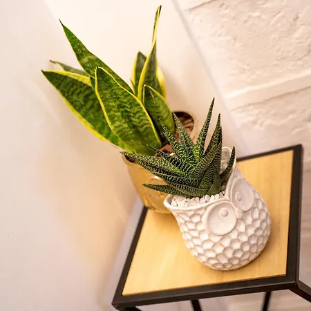 Casa Almika Principe Amedeo 3* 巴里